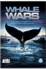 Watch Whale Wars Sockshare